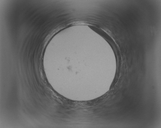 X0000080680289200701121706