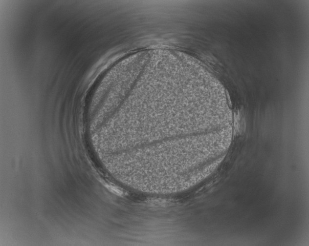 X0000080680291200701121706