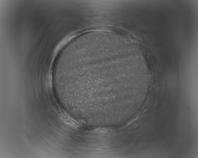 X0000080680294200701121706