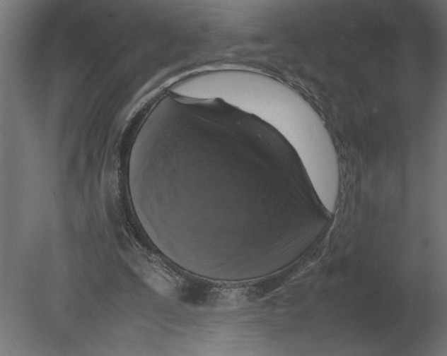 X0000080680295200701121706