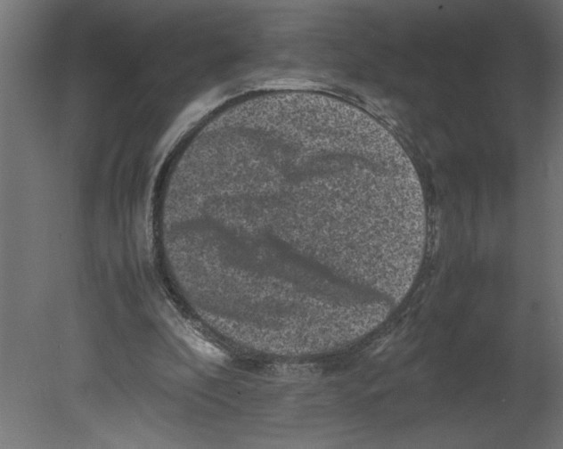 X0000080680296200701121706