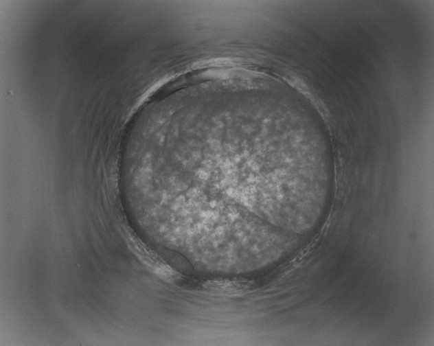 X0000080680297200701121706