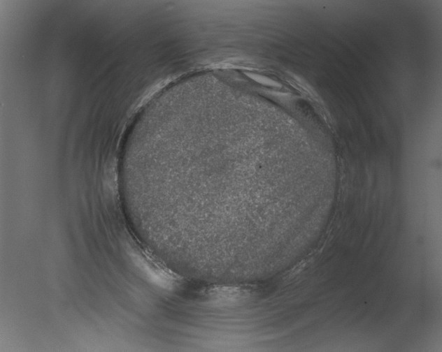 X0000080680298200701121706