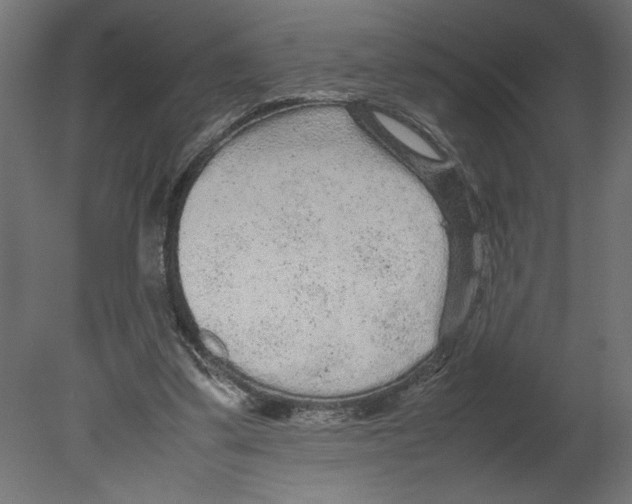 X0000080680299200701121706