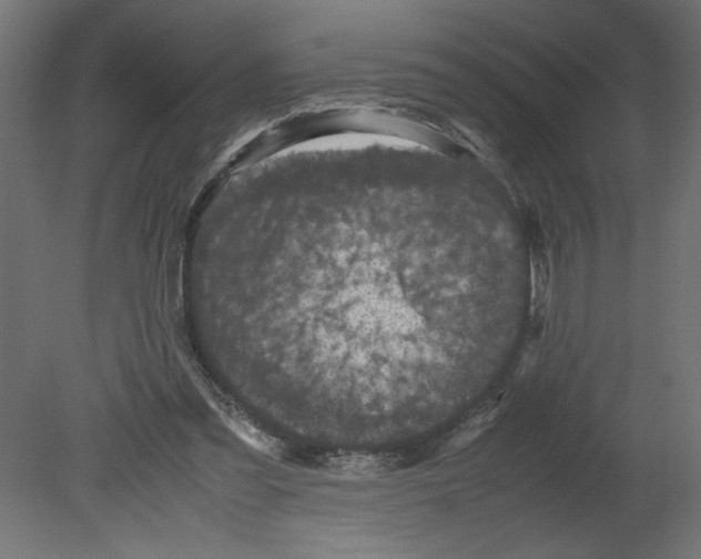 X0000080680301200701121706