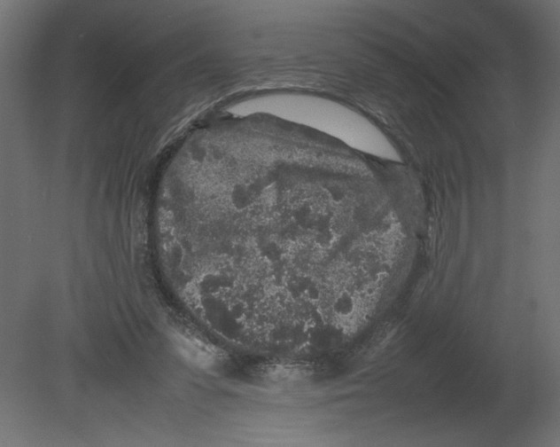 X0000080680303200701121706