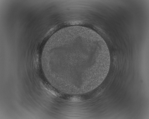 X0000080680308200701121706