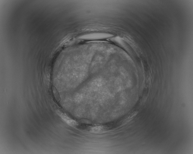 X0000080680309200701121706