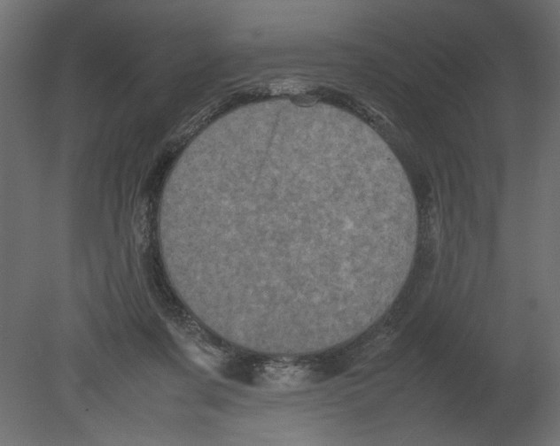 X0000080680311200701121706