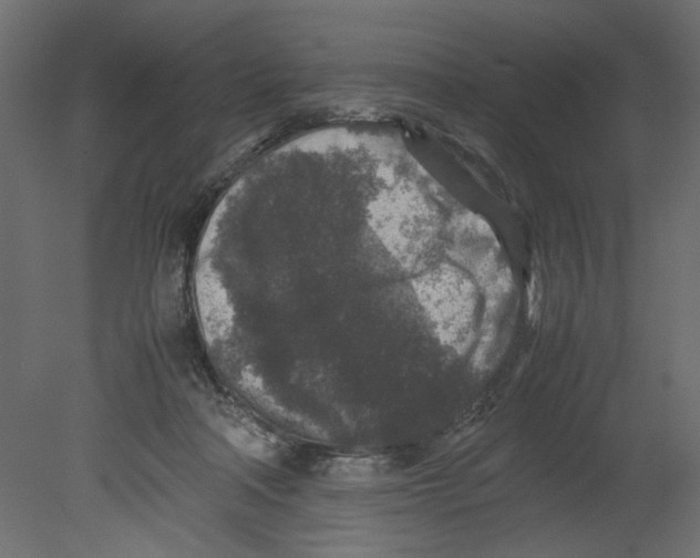 X0000080680314200701121706