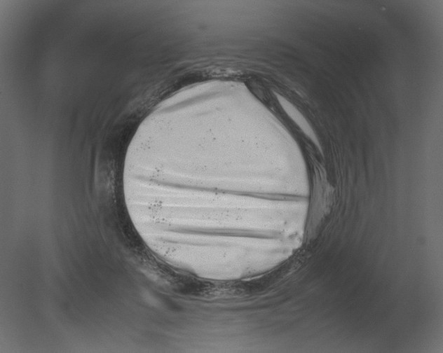 X0000080680315200701121705