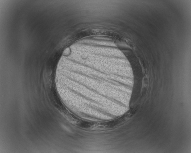 X0000080680319200701121705