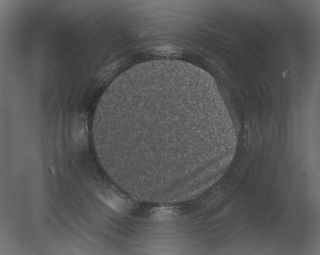 X0000080680320200701121705