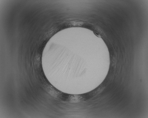 X0000080680321200701121705