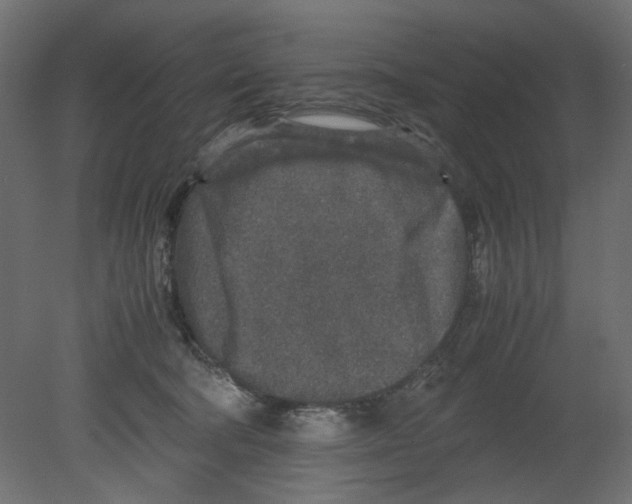 X0000080680322200701121705