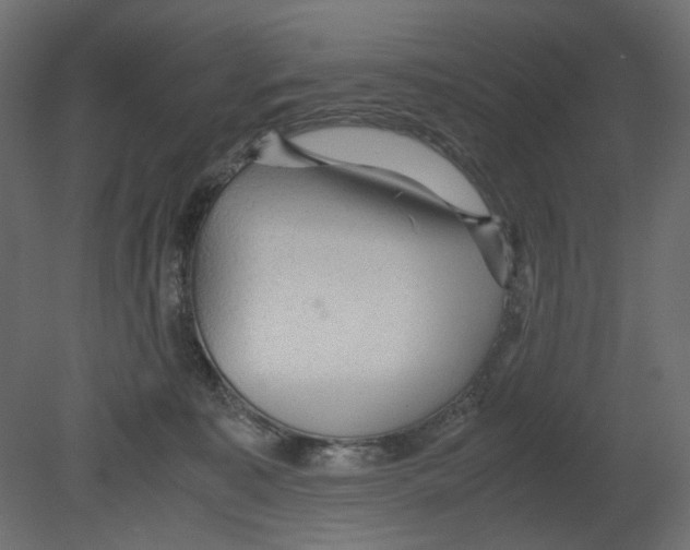 X0000080680323200701121705