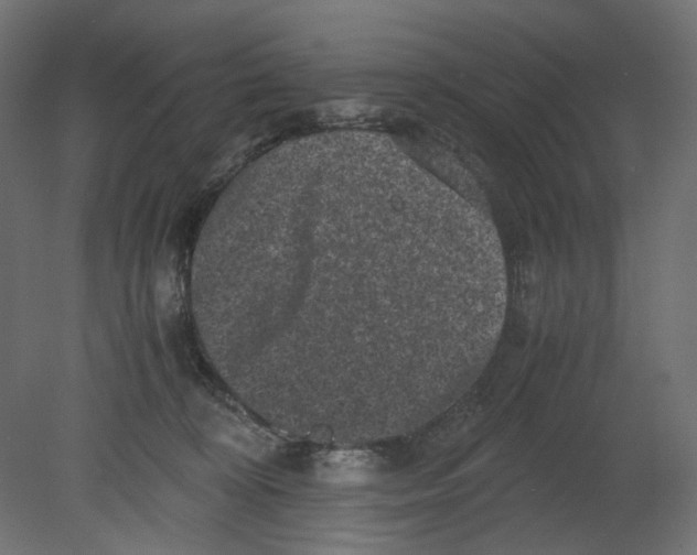 X0000080680324200701121705