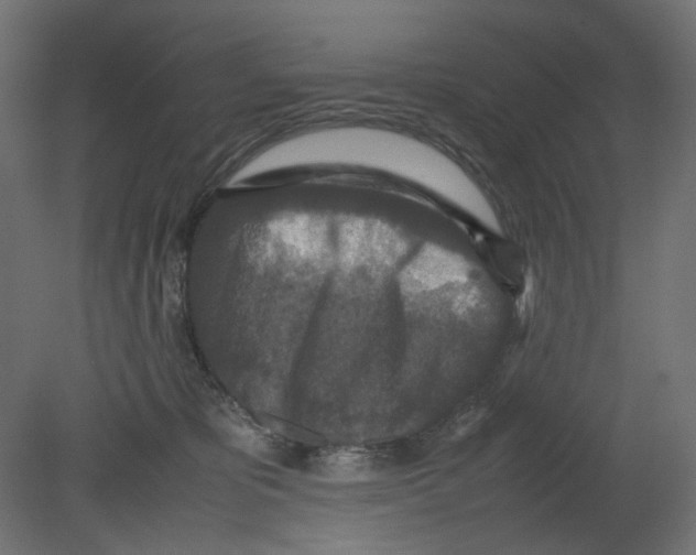 X0000080680325200701121705