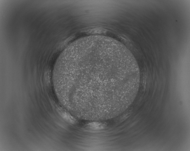 X0000080680326200701121705