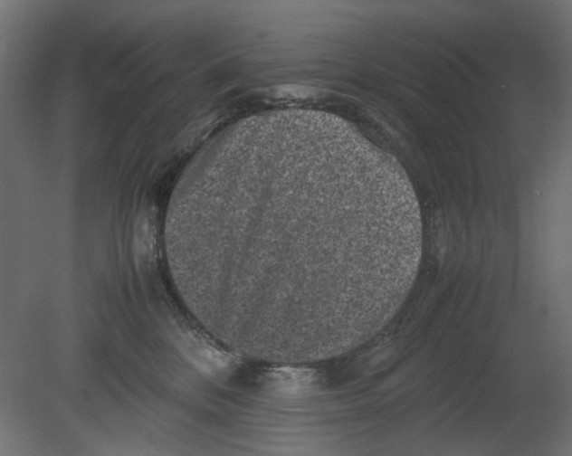 X0000080680328200701121705