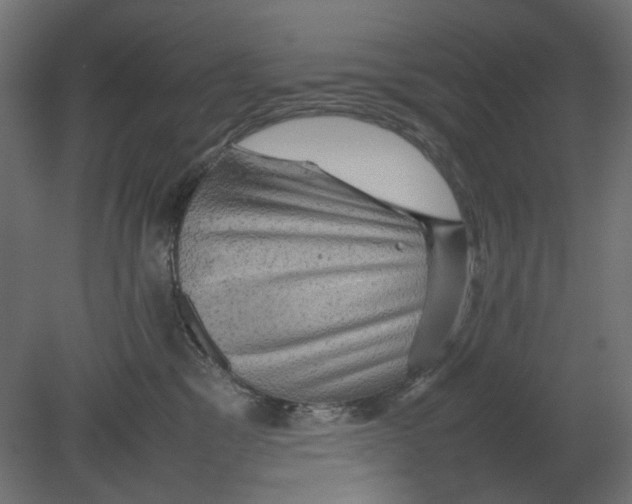 X0000080680329200701121705