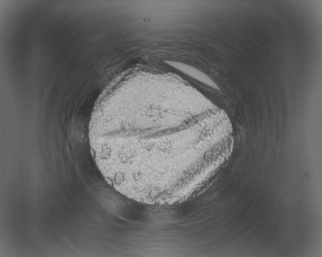 X0000080680331200701121705