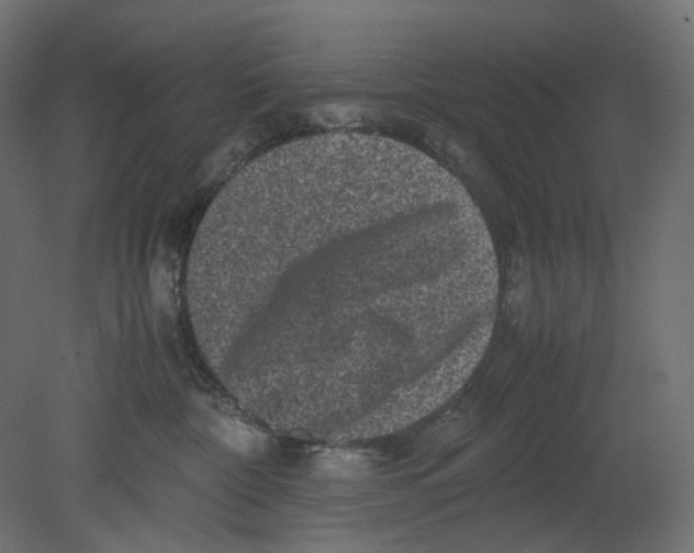 X0000080680332200701121705