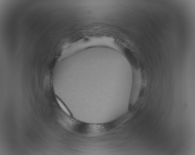 X0000080680333200701121705