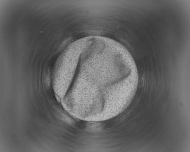 X0000080680334200701121705