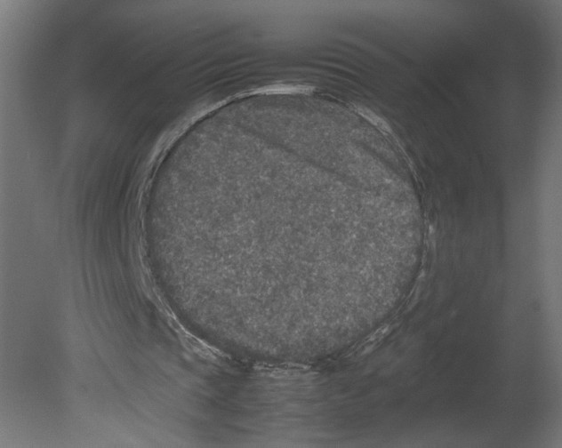 X0000080680337200701121704