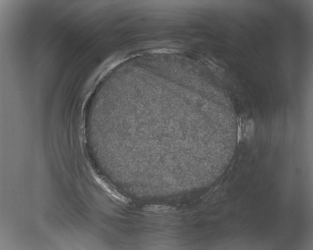 X0000080680339200701121704