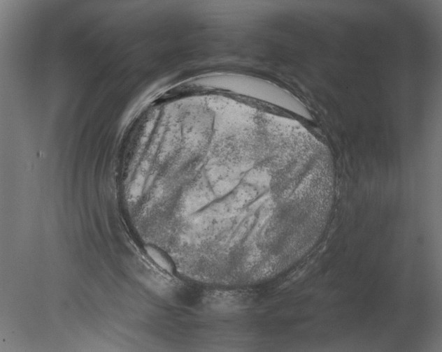 X0000080680341200701121704