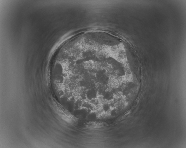 X0000080680343200701121704