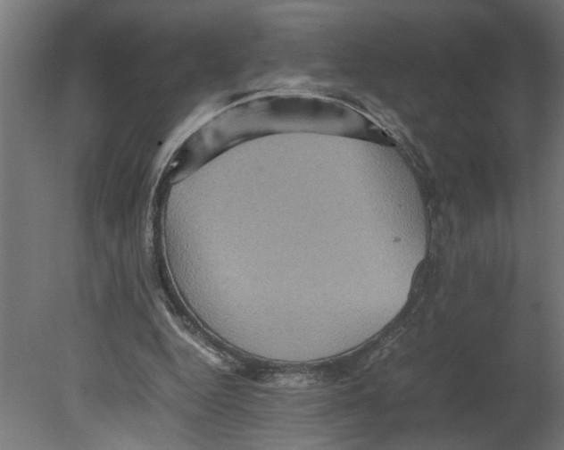 X0000080680344200701121704