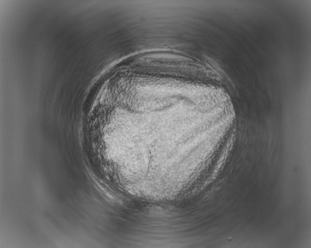 X0000080680346200701121704