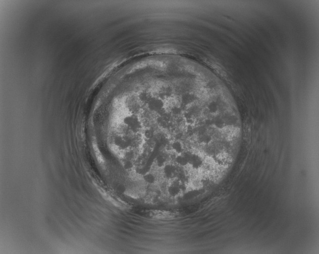 X0000080680347200701121704