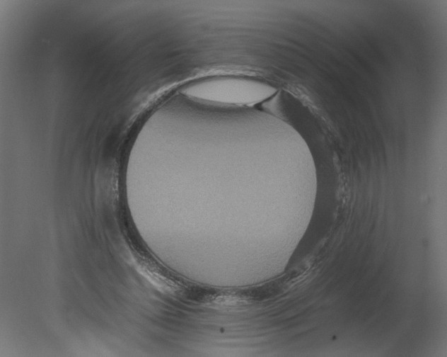 X0000080680348200701121704