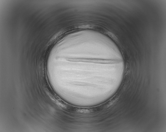 X0000080680349200701121705