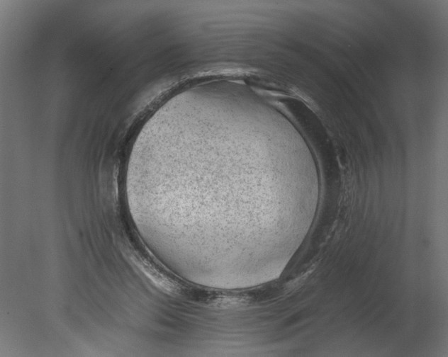 X0000080680350200701121705