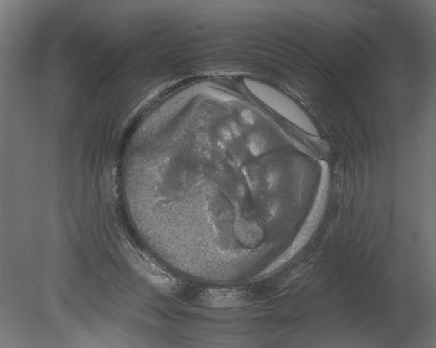 X0000080680351200701121705