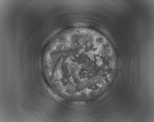 X0000080680353200701121705