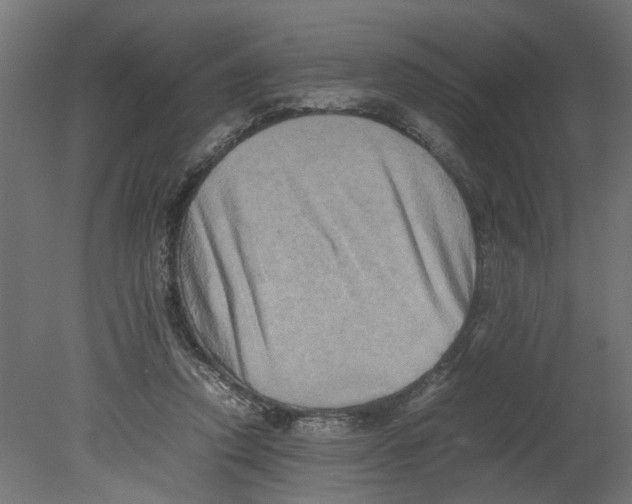 X0000080680354200701121705