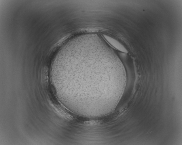 X0000080680356200701121705