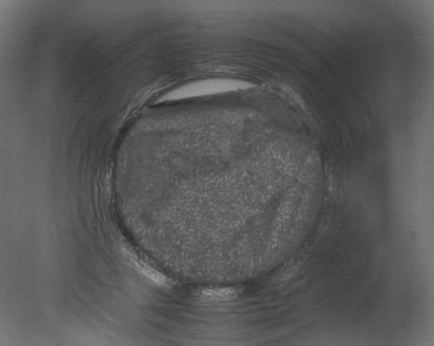 X0000080680357200701121705