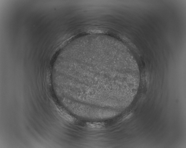 X0000080680359200701121705