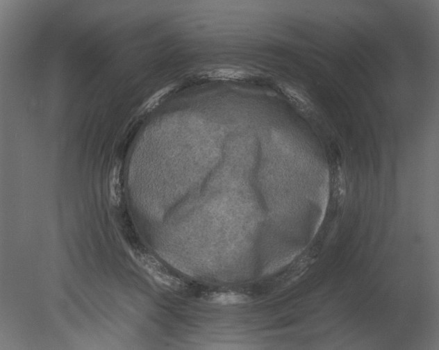 X0000080680360200701121705