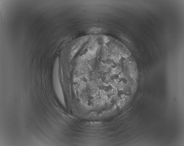 X0000080680361200701121705