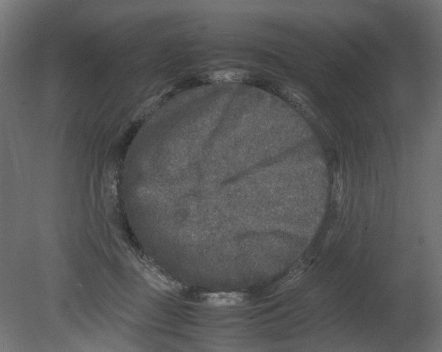 X0000080680363200701121705