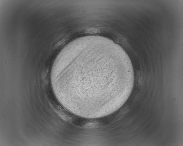 X0000080680364200701121705