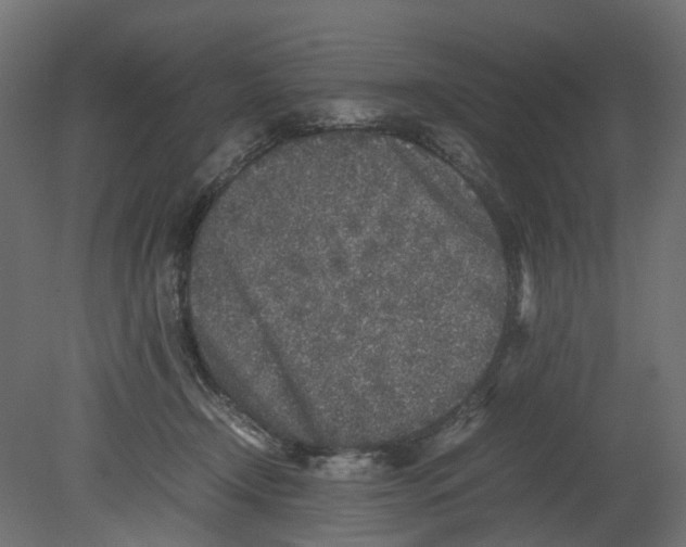 X0000080680366200701121705